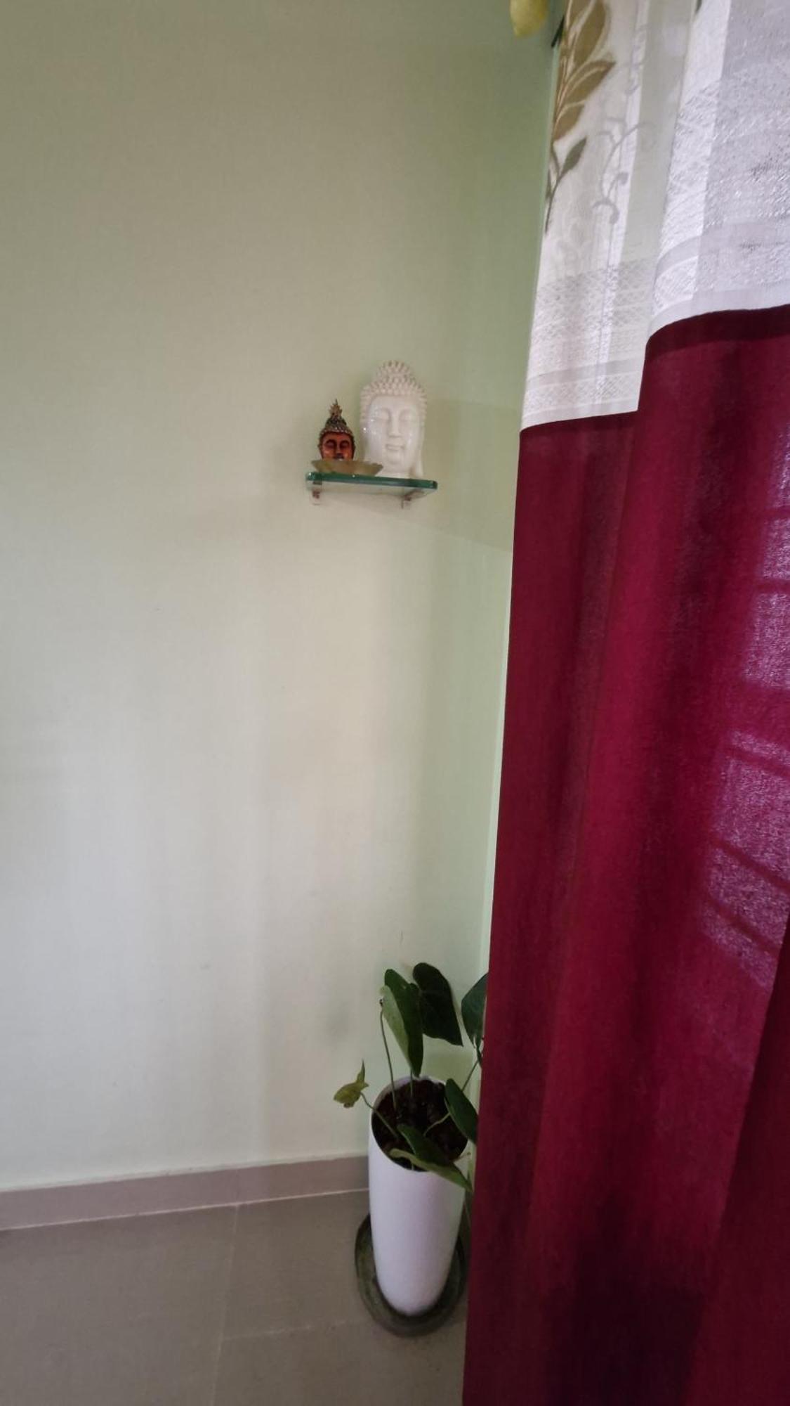 Malgudi Mane Homestay Chikmagalūr Exterior foto