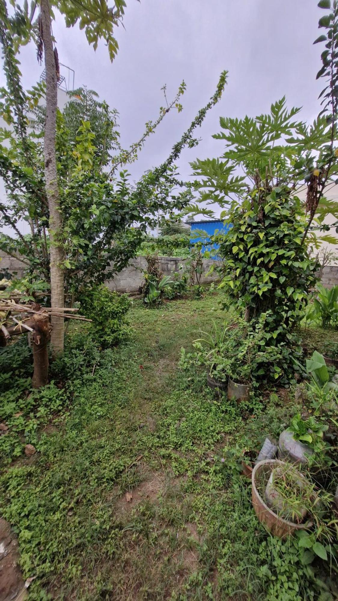 Malgudi Mane Homestay Chikmagalūr Exterior foto